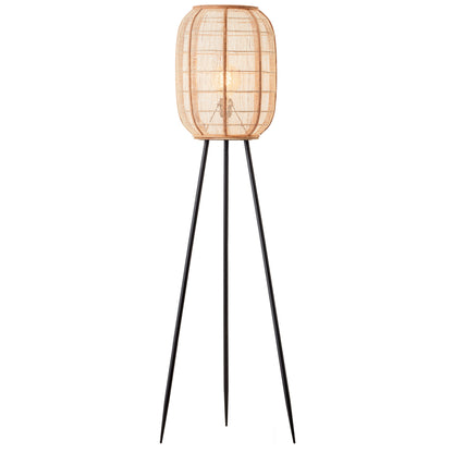 Zaire Floor Light – Black