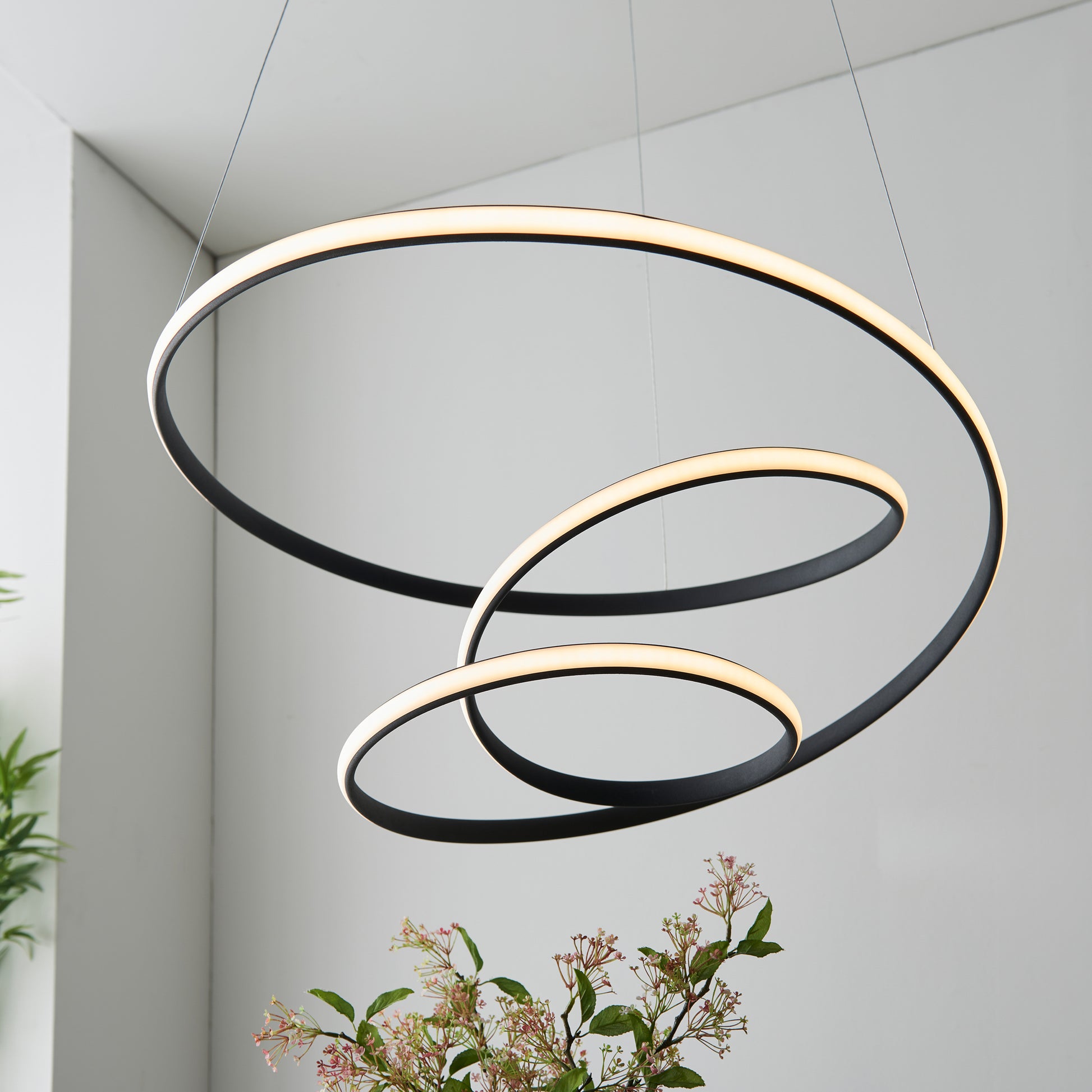 Dune 1 Pendant Light – Black