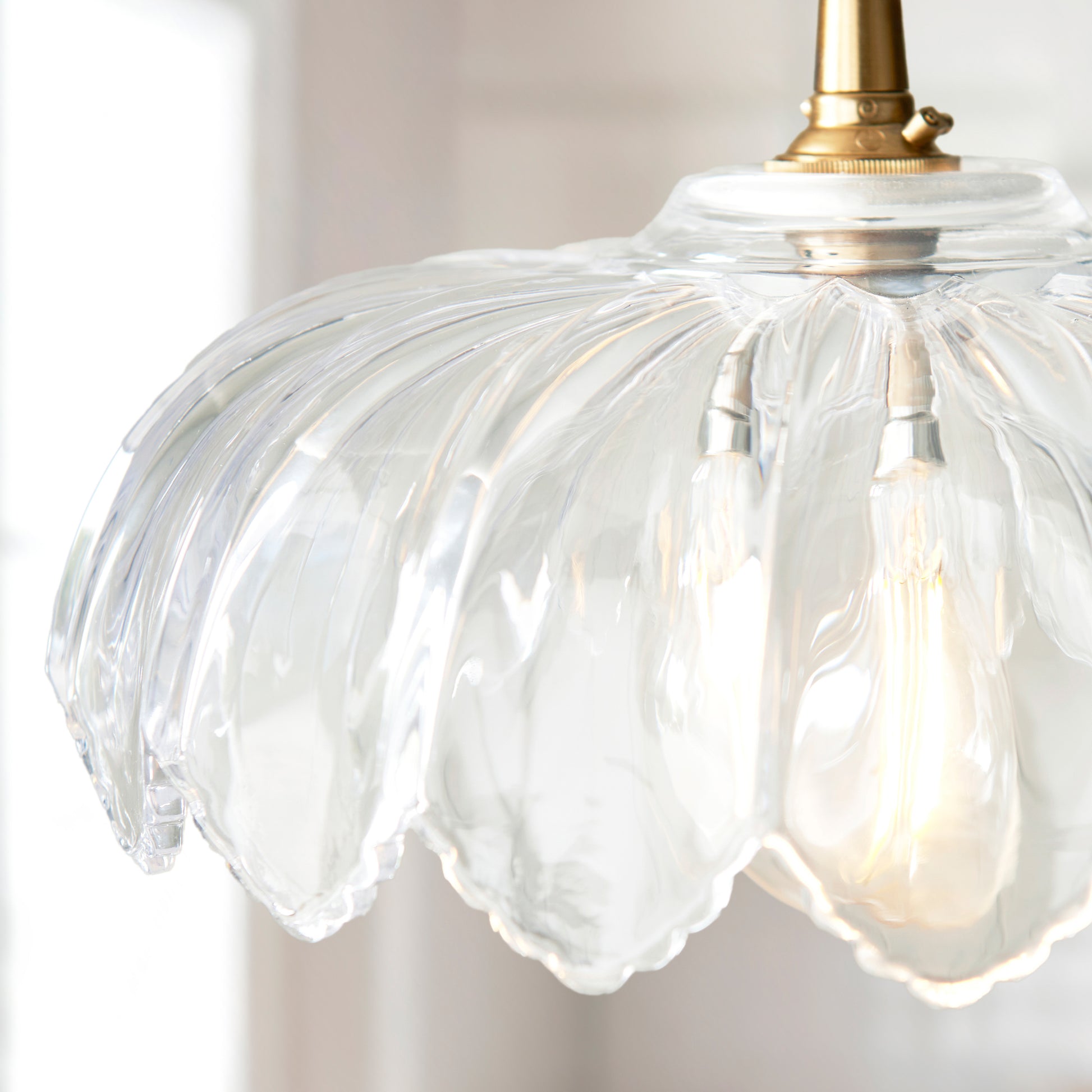 Camellia 1 Pendant Light – Clear