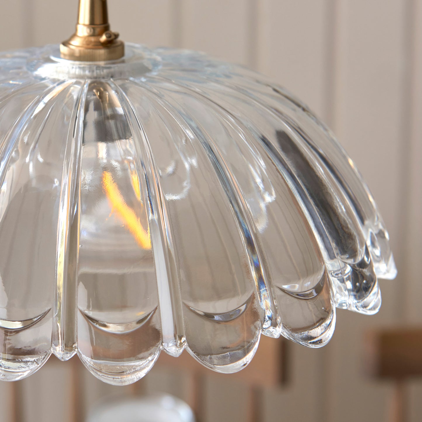 Carnation 1 Pendant Light – Clear
