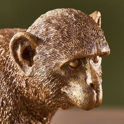 Capuchin 1 Table Lamp Gold – Gold
